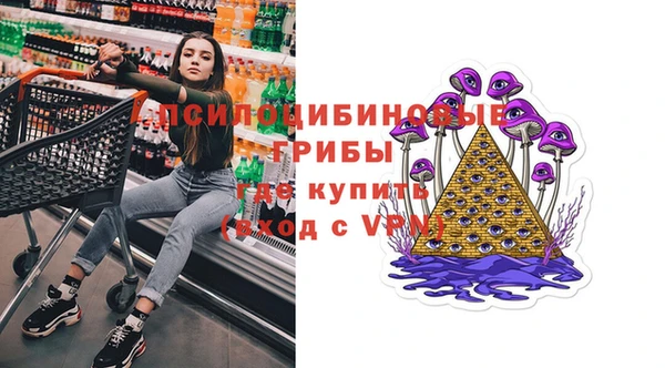 шишки Зеленокумск