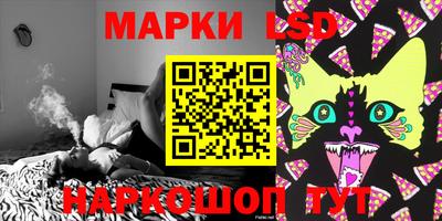 стаф Донецк