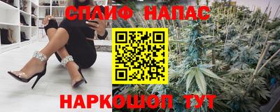 стаф Донецк