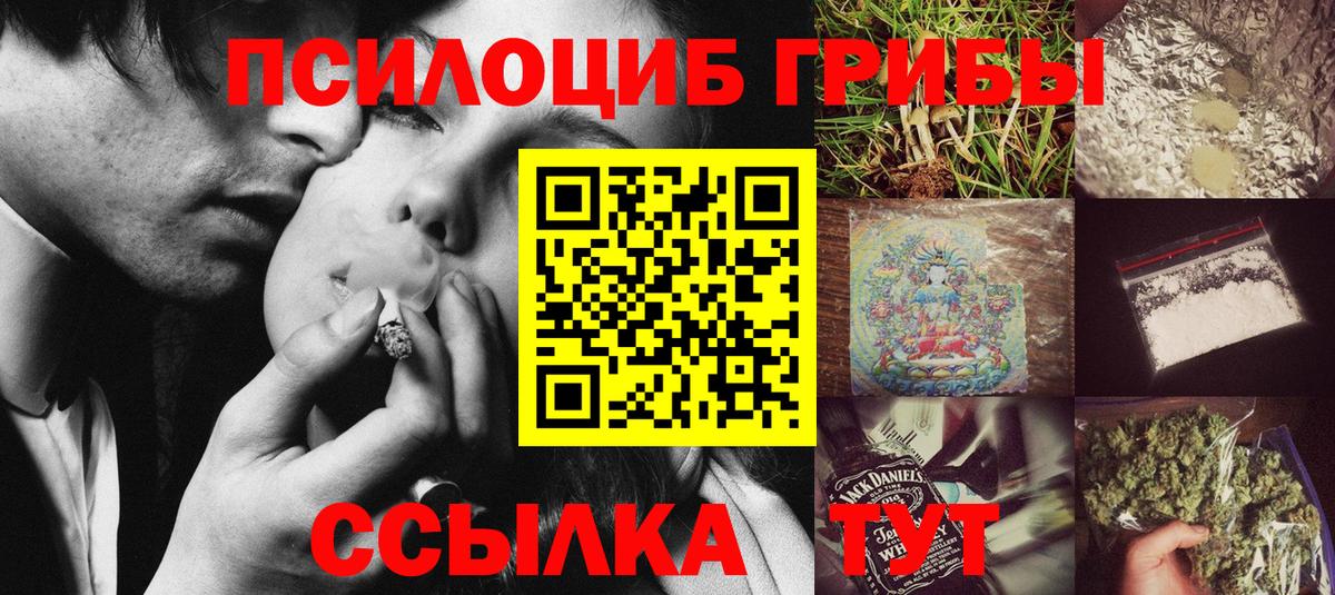 Псилоцибиновые грибы мицелий  Камень-на-Оби 