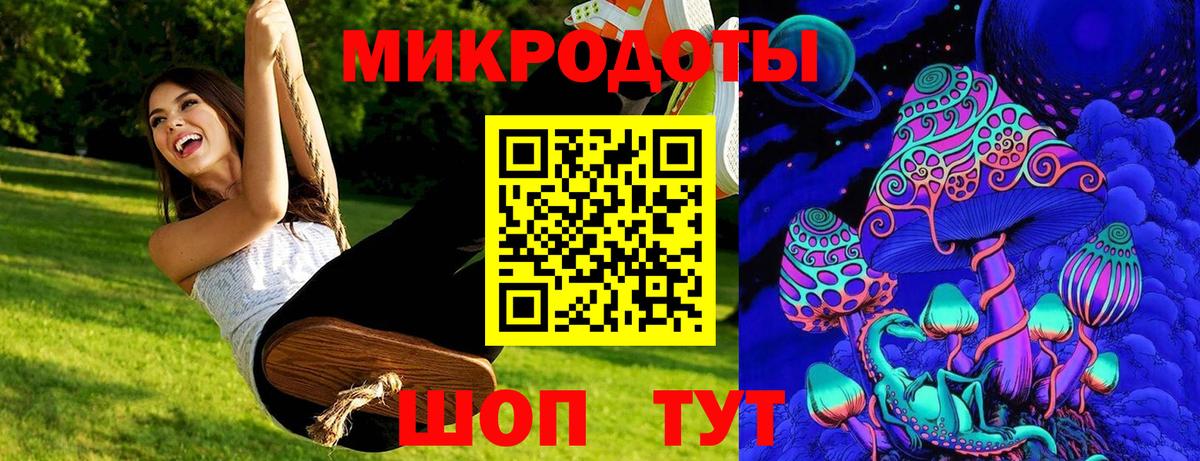 Галлюциногенные грибы Cubensis Камень-на-Оби