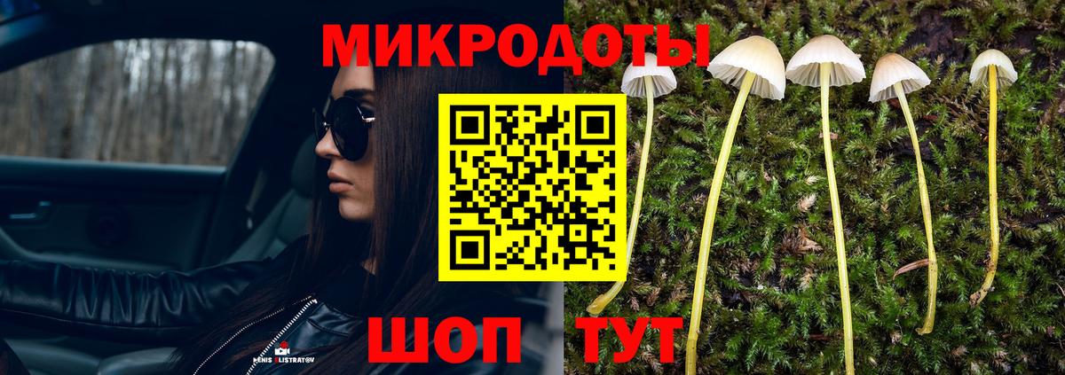 Галлюциногенные грибы GOLDEN TEACHER Камень-на-Оби
